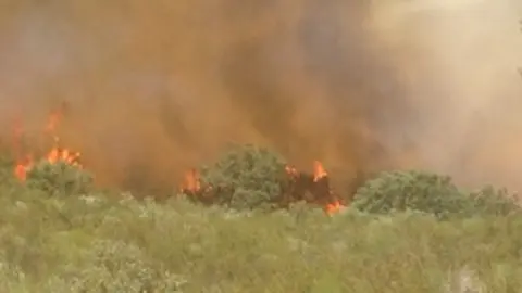  Incendio entre Villanueva y Hern&aacute;n P&eacute;rez 03072013
