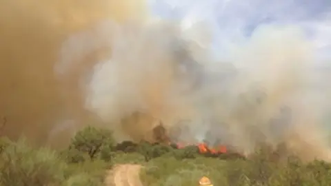 incendio temporada alta 03072013 entre Hern&aacute;n P&eacute;rez y Villanueva de la Sierra
