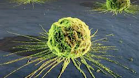 Sobre el c&aacute;ncer