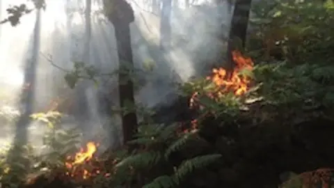  Incendio en Los Lameros de Hoyos el 3 de septiembre
