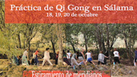 Qi Gong en S&aacute;lama