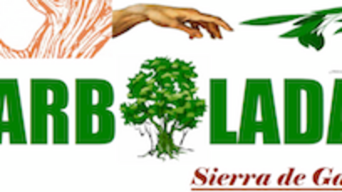 Arbolada de ARBA en la Sierra