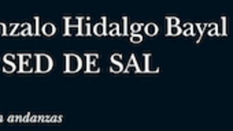La Sed de Sal de Gonzálo Hidalgo Bayal