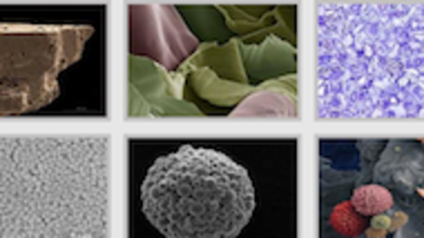 im&aacute;genes capturadas de la web de FOTCIENCIA 10