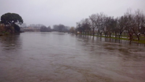 Desbordamiento del río en Moraleja. JLL