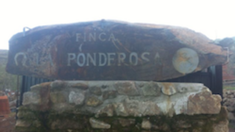 Finca La Ponderosa en Acebo