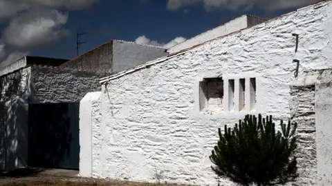 Vegaviana