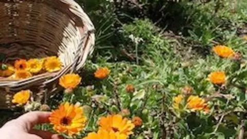 Cosmética natural en el Albergue Sálama