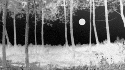 Ruta nocturna en Cilleros