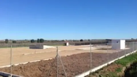 Planta moralejana de RSC
