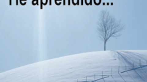 Reflexiones 7
