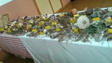 40 setas de Sierra de Gata Exposición de Fernando Chico Imagen de Eugenio Rodríguez Haro