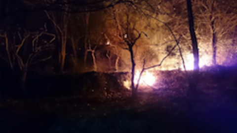 Incendio del 13 de enero en Torre de Don Miguel