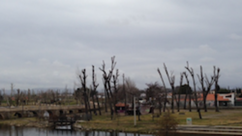 Zonas verdes moralejanas