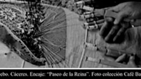 Escuela de Acebo Caìceres Encaje Paseo de la Reina Cafeì Bar Treìbedes
