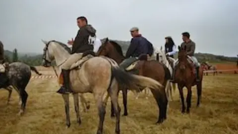 VII Concentración de caballos Navelonga 2014