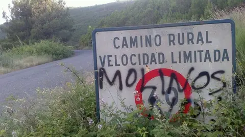 Camino rural entre Torre de Don Miguel y Villasbuenas