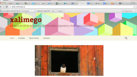 Portada de inicio de la nueva web www.xalimego.es