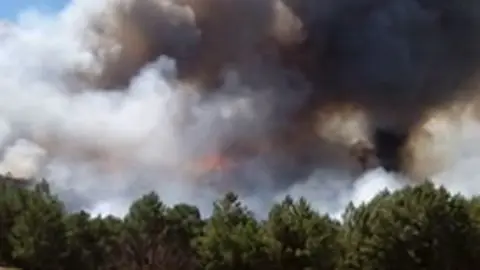 Incendio de Acebo en una zona de pinar en La Osa. Imagen de Sonia Seco Fern&aacute;ndez para www.sierradegatadigital.es