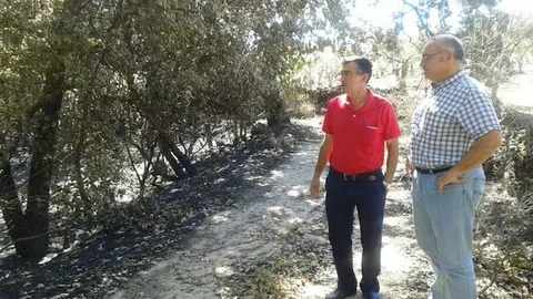 Jos&eacute; Luis Pereales acompa&ntilde;a a los t&eacute;cnicos en la localizaci&oacute;n de las fincas y terrenos da&ntilde;ados