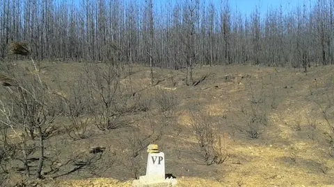 Terreno quemado en el t&eacute;rmino de Perales del Puerto
