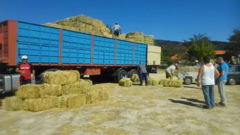 entrega de heno en HOYOS