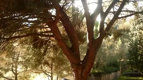 Instalaciones del campamento Nutria en Hern&aacute;n P&eacute;rez, www.sierradegatadigital.es