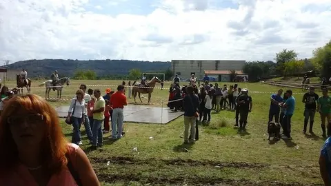 Concentraci&oacute;n comarcal Hoyos San Lino 2014 GUSTAVO EGIDO BLAS