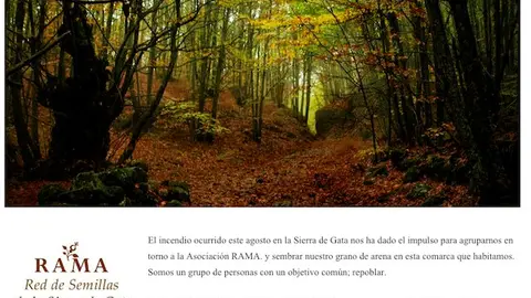 Web Reforestaci&oacute;n Sierra de Gata de RAMA