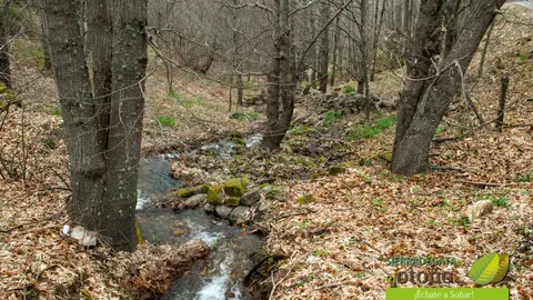 R&Iacute;o Árrago. Imagen cecida por la web sierradegataeseloto&ntilde;o.com.