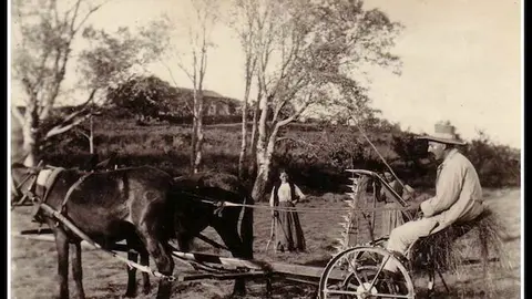 Segando en La Granja a principios del siglo XX