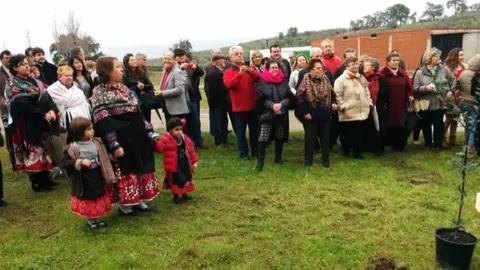 Los vecinos se reúnen en la zona de plantación durante la 211 Fiesta del Árbol de Villanueva de la Sierra