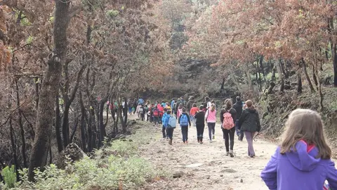 Senderismo saludable entre Hoyos y Trevejo organizado con escolares por el Servicio Deportivo comarcal