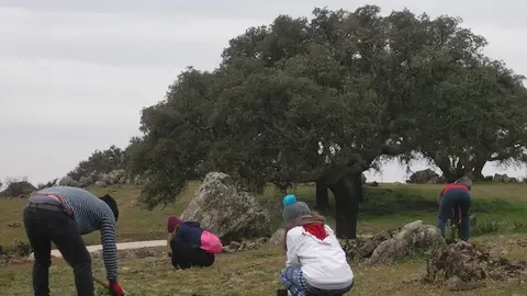 Una edición anterior del programa Plantabosques de ADENEX