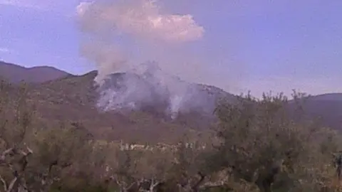 Incendio en Trevejo 17 de marzo de 2016 CEDIDA