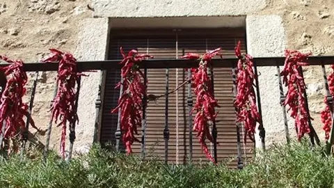 pimientos-secos-sierradegata.jpg (1)