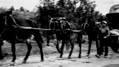 Carro para transporte de barriles de vino 2
