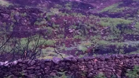 Ubicación del futuro jardín etnobotánico en Acebo