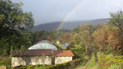 Plantación de espirulina en Acebo, idea de Ainhoa Zabala y Unai Dorronsoro, ganadora del segundo premio en la primera edición de Ideas Emprendedoras de la Diputación