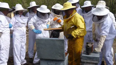 Curso de apicultura en el CFMR de Moraleja