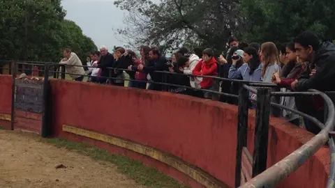 Estudiantres franceses de Isla Reunión visitan el Centro de Formación del Medio Rural de Moraleja 5