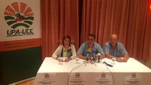 Manifestación de UPA-UCE en Madrid en defensa del olivar tradicional