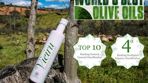 Vieiru DOP Gata-Hurdes el cuarto mejor aceite ecológico del mundo