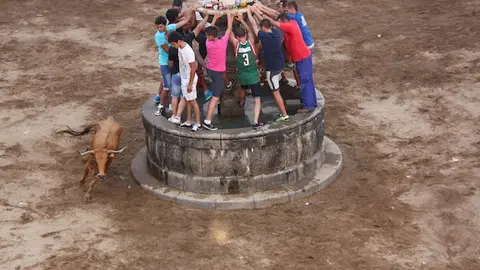 Capeas lagarteiras al estilo tradicional en Eljas