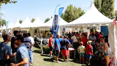 Público en la XX Feria Rayana de Moraleja
