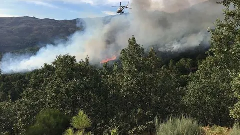 Incendio en la zona de Os Corrales en San Martín de Trevejo