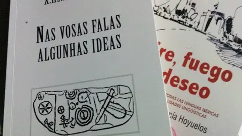 Portadas de los libros firmados por el profesor Xosé Henrique Costas y el poeta Juan Carlos García Hoyuelos