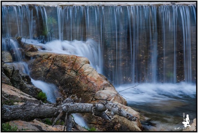 1.- TOPO. Jevero (Acebo)