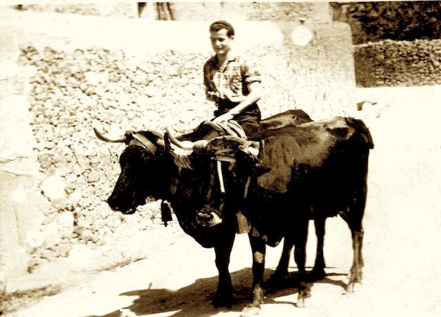 Faustino Rodriìguez (Carriza)
