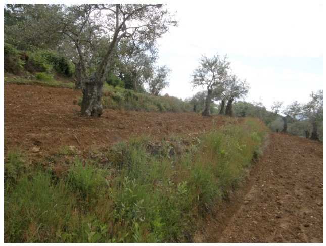 Terraza con talud de tierra. Agustín Iglesias Pérez